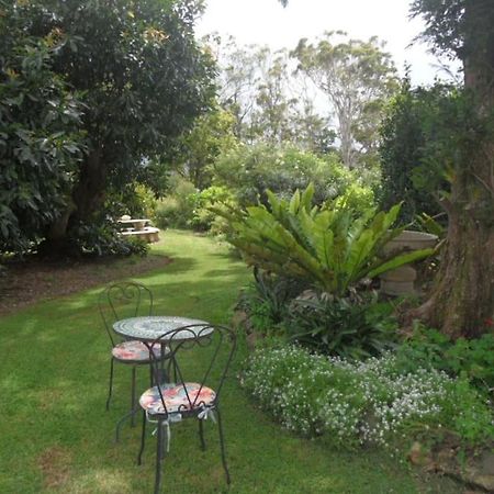Moonya Avocado Farm Cottage - With Early Check-In جبل تامبورين المظهر الخارجي الصورة