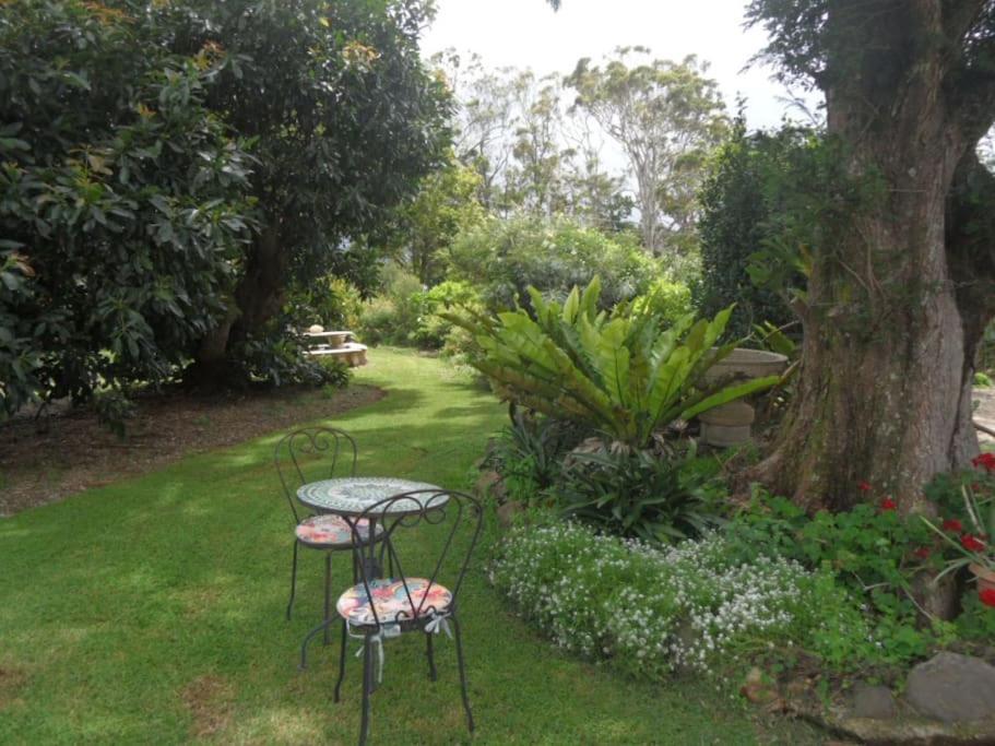Moonya Avocado Farm Cottage - With Early Check-In جبل تامبورين المظهر الخارجي الصورة