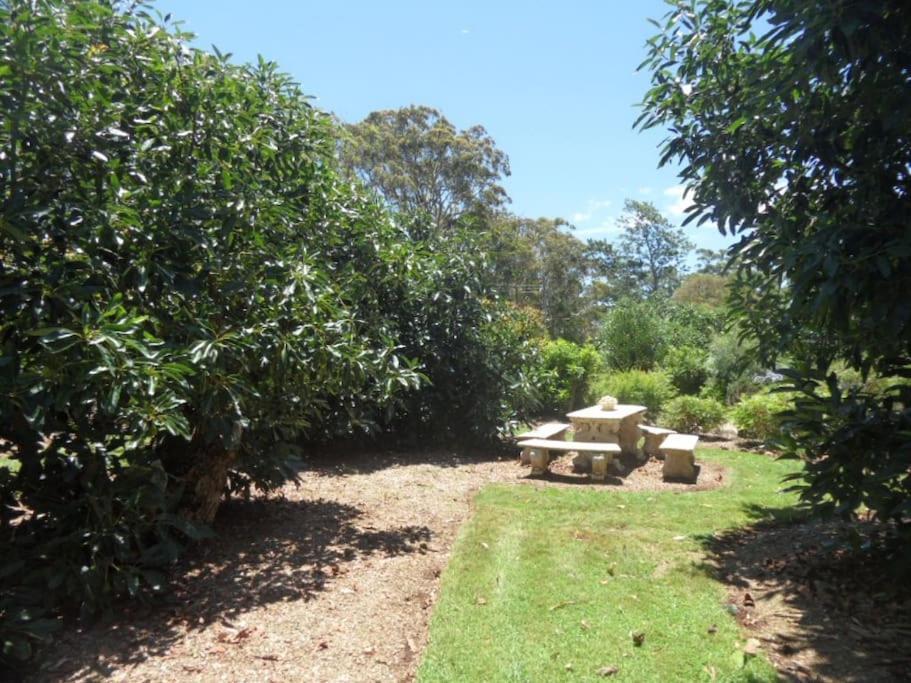 Moonya Avocado Farm Cottage - With Early Check-In جبل تامبورين المظهر الخارجي الصورة